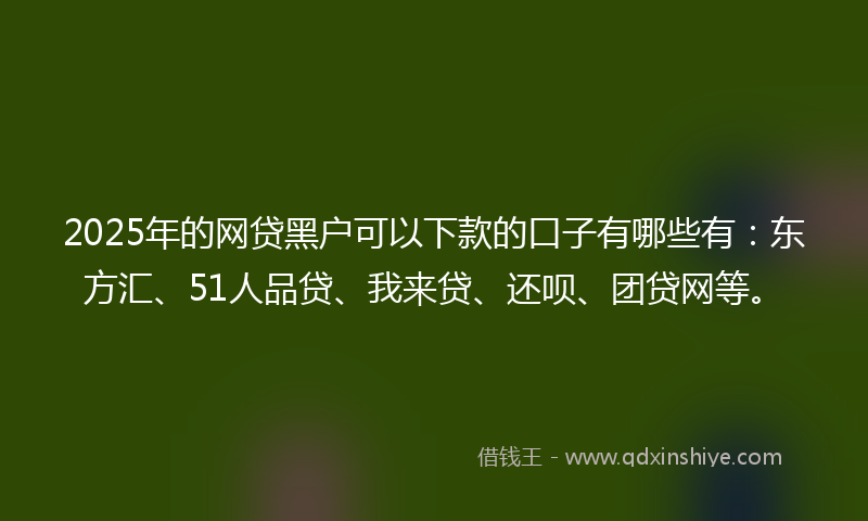 2025年的网贷黑户可以下款的口子有哪些有：东方汇、51人品贷、我来贷、还呗、团贷网等。