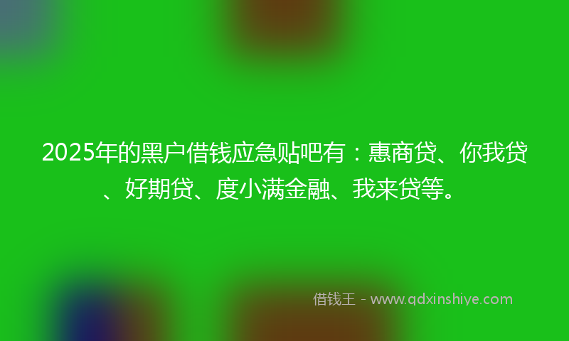 2025年的黑户借钱应急贴吧有：惠商贷、你我贷、好期贷、度小满金融、我来贷等。