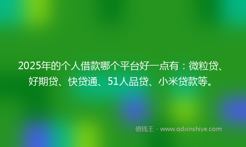 2025年的个人借款哪个平台好一点有：微粒贷、好期贷、快贷通、51人品贷、小米贷款等。