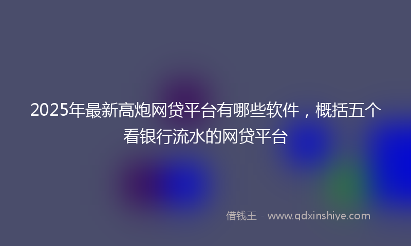 2025年最新高炮网贷平台有哪些软件，概括五个看银行流水的网贷平台