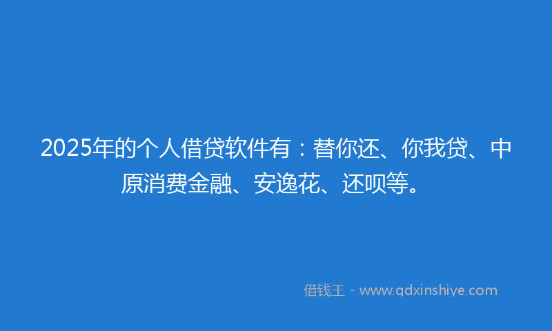 2025年的个人借贷软件有：替你还、你我贷、中原消费金融、安逸花、还呗等。