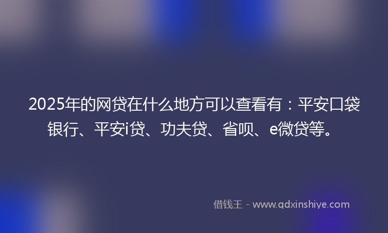 2025年的网贷在什么地方可以查看有：平安口袋银行、平安i贷、功夫贷、省呗、e微贷等。