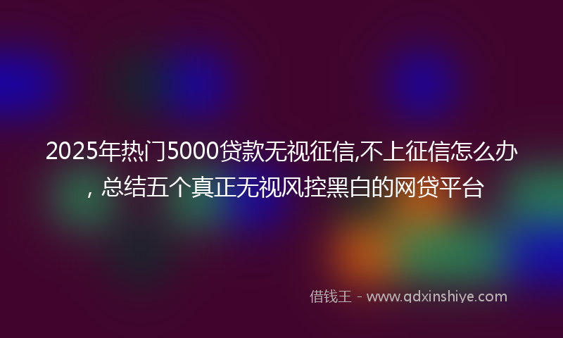 2025年热门5000贷款无视征信,不上征信怎么办，总结五个真正无视风控黑白的网贷平台