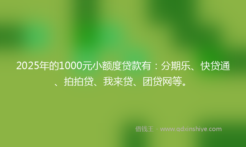 2025年的1000元小额度贷款有：分期乐、快贷通、拍拍贷、我来贷、团贷网等。