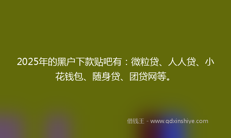 2025年的黑户下款贴吧有：微粒贷、人人贷、小花钱包、随身贷、团贷网等。