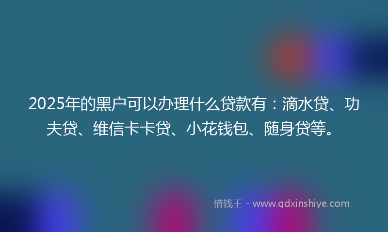 2025年的黑户可以办理什么贷款有：滴水贷、功夫贷、维信卡卡贷、小花钱包、随身贷等。
