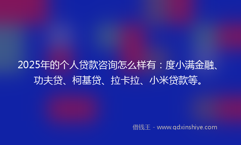 2025年的个人贷款咨询怎么样有：度小满金融、功夫贷、柯基贷、拉卡拉、小米贷款等。