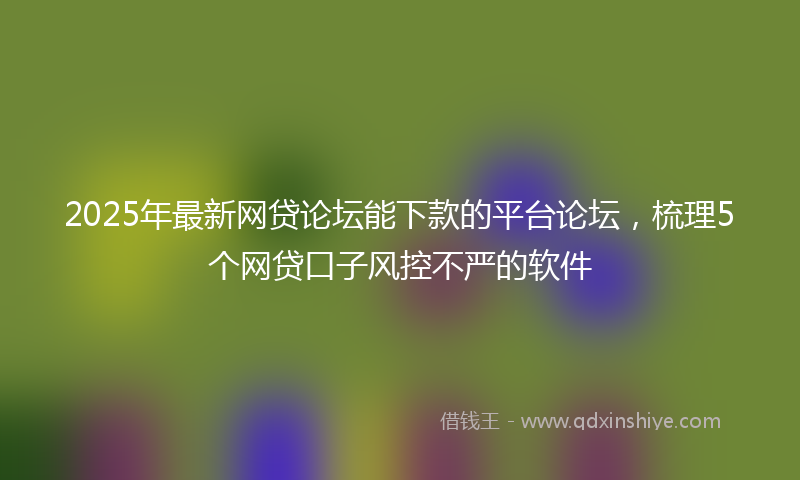 2025年最新网贷论坛能下款的平台论坛，梳理5个网贷口子风控不严的软件