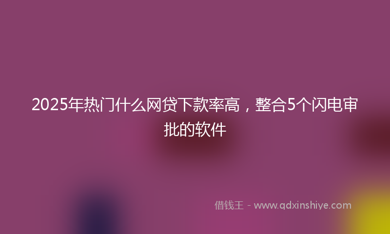 2025年热门什么网贷下款率高，整合5个闪电审批的软件