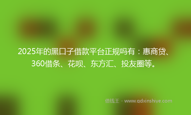 2025年的黑口子借款平台正规吗有：惠商贷、360借条、花呗、东方汇、投友圈等。