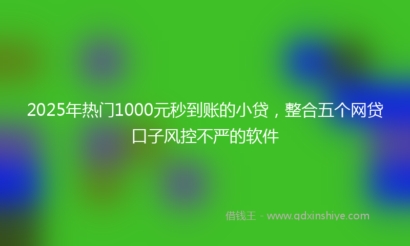 2025年热门1000元秒到账的小贷，整合五个网贷口子风控不严的软件