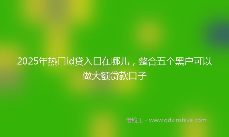 2025年热门id贷入口在哪儿，整合五个黑户可以做大额贷款口子