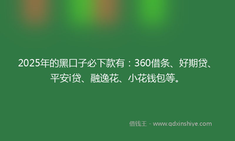 2025年的黑口子必下款有：360借条、好期贷、平安i贷、融逸花、小花钱包等。