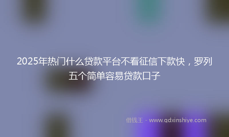 2025年热门什么贷款平台不看征信下款快，罗列五个简单容易贷款口子