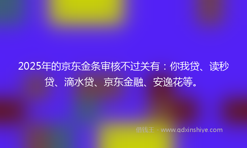 2025年的京东金条审核不过关有：你我贷、读秒贷、滴水贷、京东金融、安逸花等。