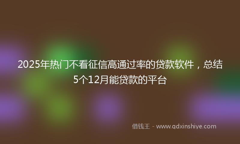 2025年热门不看征信高通过率的贷款软件，总结5个12月能贷款的平台