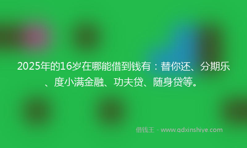 2025年的16岁在哪能借到钱有：替你还、分期乐、度小满金融、功夫贷、随身贷等。