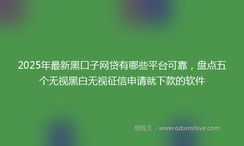 2025年最新黑口子网贷有哪些平台可靠，盘点五个无视黑白无视征信申请就下款的软件