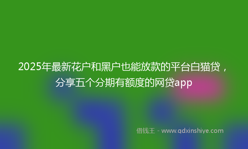 2025年最新花户和黑户也能放款的平台白猫贷，分享五个分期有额度的网贷app