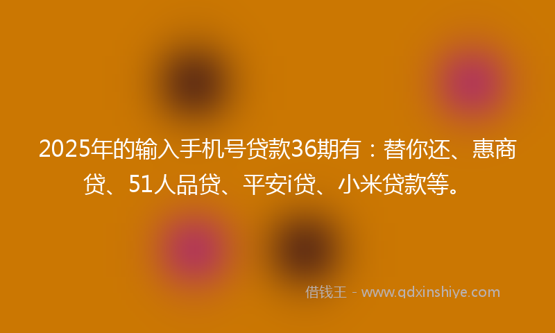 2025年的输入手机号贷款36期有：替你还、惠商贷、51人品贷、平安i贷、小米贷款等。