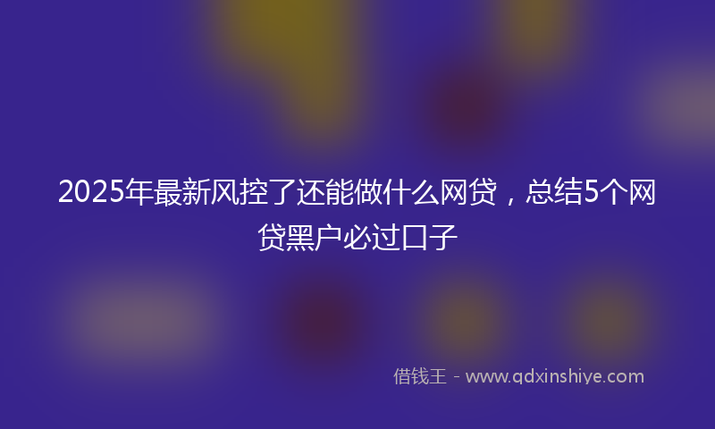 2025年最新风控了还能做什么网贷，总结5个网贷黑户必过口子