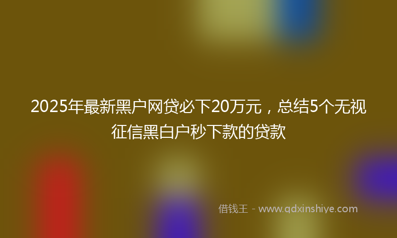 2025年最新黑户网贷必下20万元，总结5个无视征信黑白户秒下款的贷款