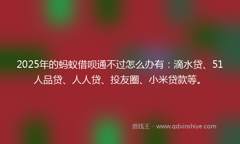 2025年的蚂蚁借呗通不过怎么办有：滴水贷、51人品贷、人人贷、投友圈、小米贷款等。