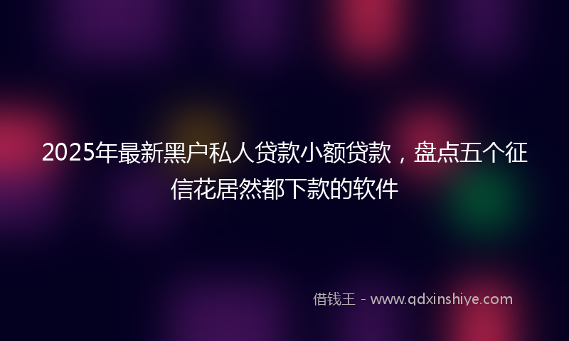 2025年最新黑户私人贷款小额贷款，盘点五个征信花居然都下款的软件