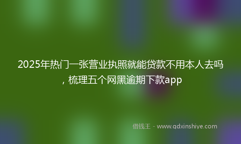 2025年热门一张营业执照就能贷款不用本人去吗，梳理五个网黑逾期下款app