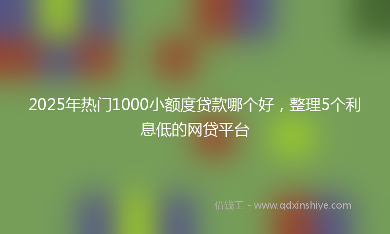 2025年热门1000小额度贷款哪个好，整理5个利息低的网贷平台