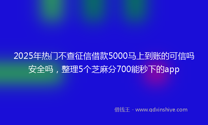 2025年热门不查征信借款5000马上到账的可信吗安全吗，整理5个芝麻分700能秒下的app