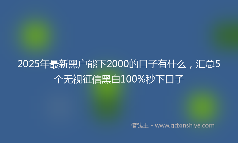 2025年最新黑户能下2000的口子有什么，汇总5个无视征信黑白100%秒下口子