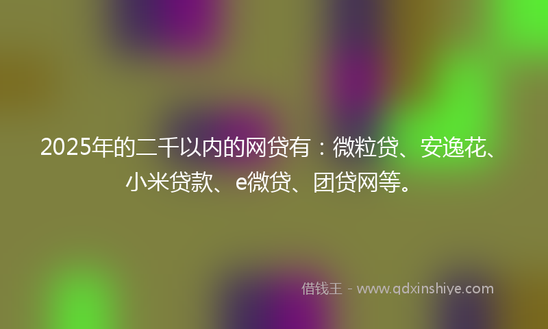 2025年的二千以内的网贷有：微粒贷、安逸花、小米贷款、e微贷、团贷网等。