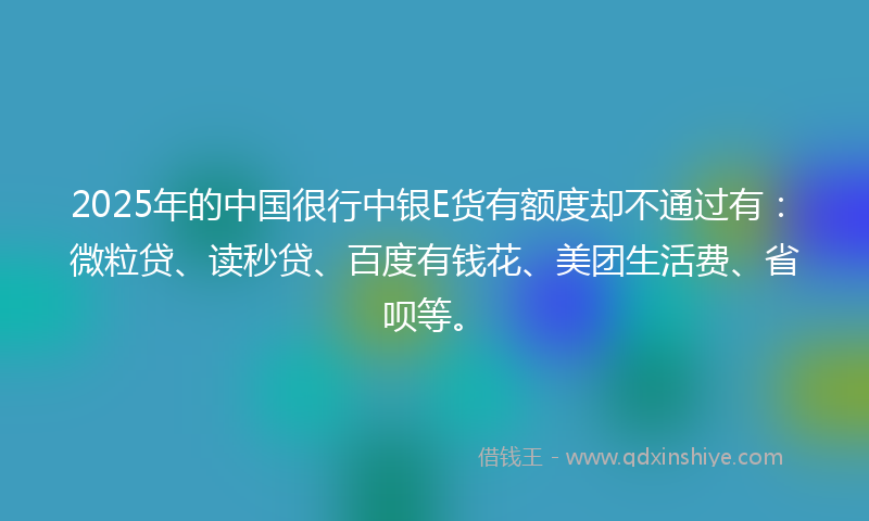 2025年的中国很行中银E货有额度却不通过有：微粒贷、读秒贷、百度有钱花、美团生活费、省呗等。