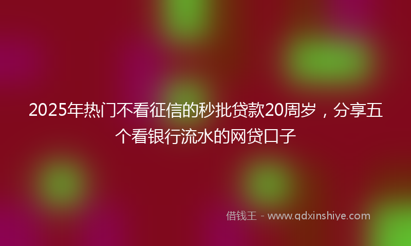 2025年热门不看征信的秒批贷款20周岁，分享五个看银行流水的网贷口子