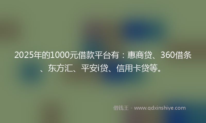 2025年的1000元借款平台有：惠商贷、360借条、东方汇、平安i贷、信用卡贷等。