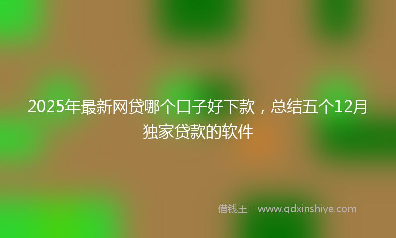 2025年最新网贷哪个口子好下款，总结五个12月独家贷款的软件