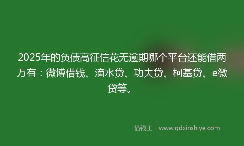2025年的负债高征信花无逾期哪个平台还能借两万有：微博借钱、滴水贷、功夫贷、柯基贷、e微贷等。