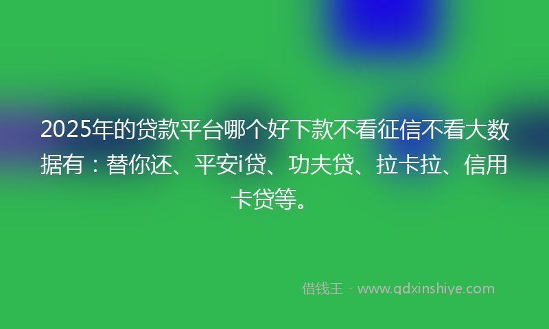 2025年的贷款平台哪个好下款不看征信不看大数据有：替你还、平安i贷、功夫贷、拉卡拉、信用卡贷等。