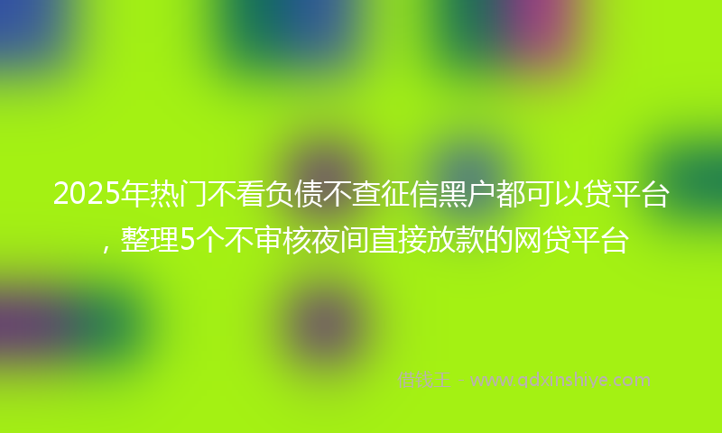 2025年热门不看负债不查征信黑户都可以贷平台，整理5个不审核夜间直接放款的网贷平台