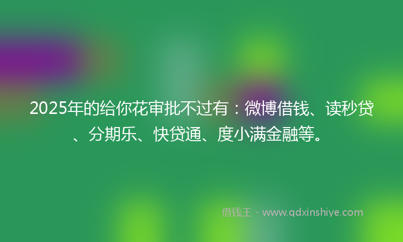 2025年的给你花审批不过有：微博借钱、读秒贷、分期乐、快贷通、度小满金融等。
