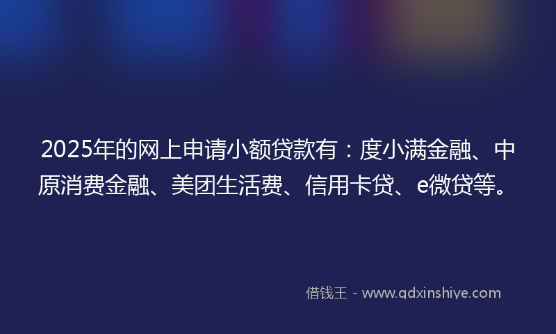 2025年的网上申请小额贷款有：度小满金融、中原消费金融、美团生活费、信用卡贷、e微贷等。
