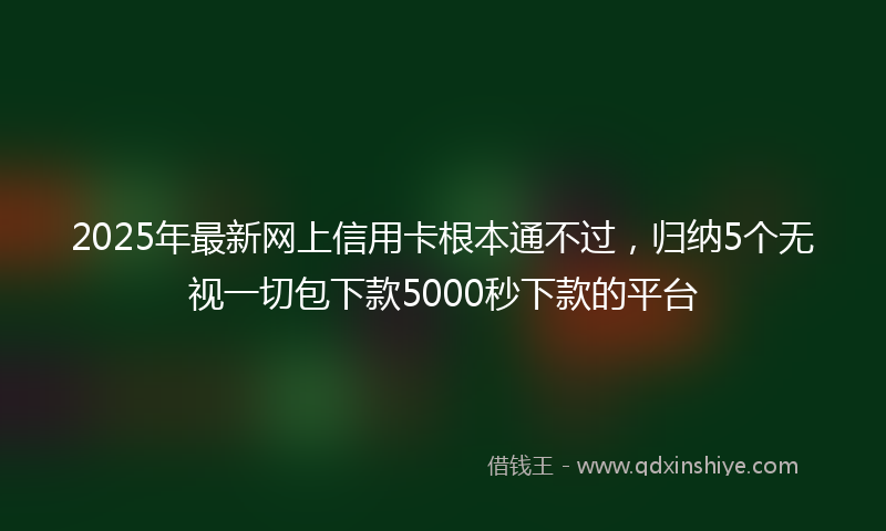 2025年最新网上信用卡根本通不过，归纳5个无视一切包下款5000秒下款的平台