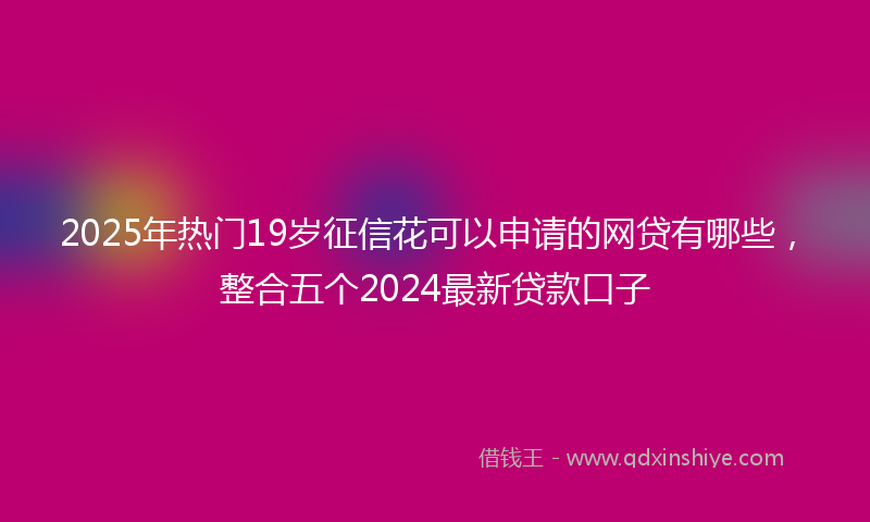 2025年热门19岁征信花可以申请的网贷有哪些，整合五个2024最新贷款口子