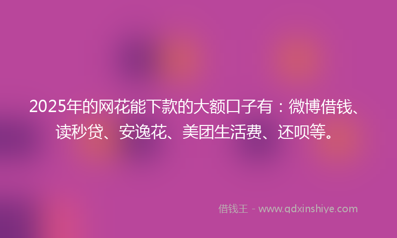 2025年的网花能下款的大额口子有：微博借钱、读秒贷、安逸花、美团生活费、还呗等。
