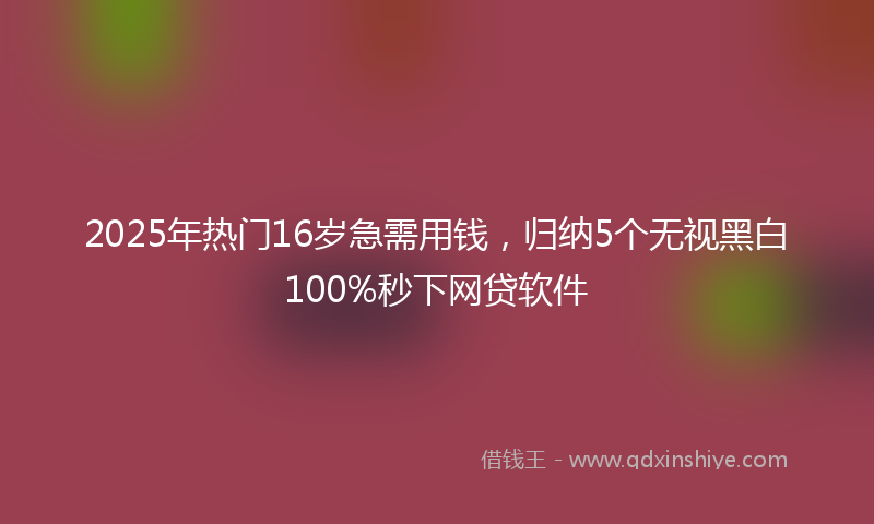 2025年热门16岁急需用钱，归纳5个无视黑白100%秒下网贷软件