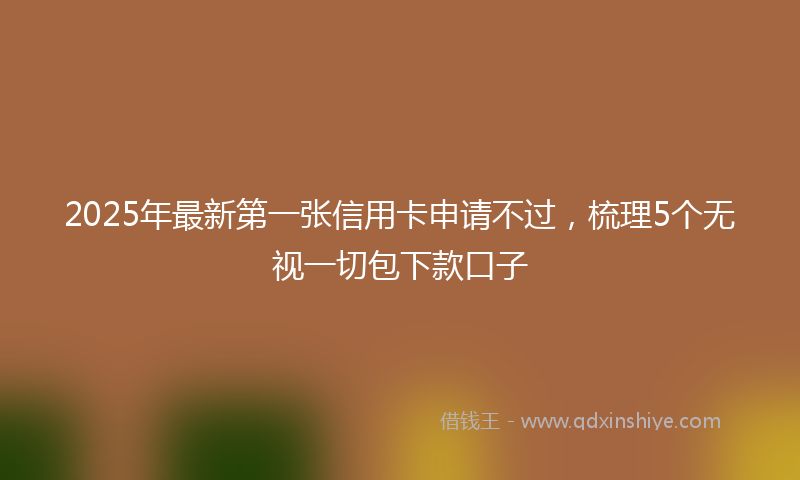 2025年最新第一张信用卡申请不过，梳理5个无视一切包下款口子