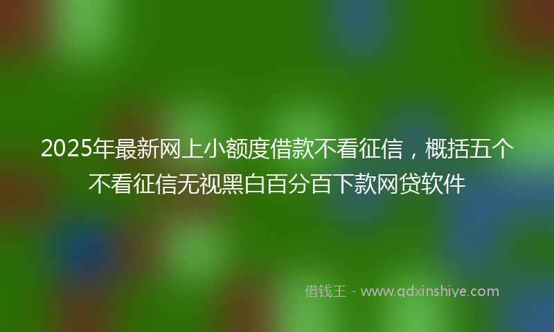 2025年最新网上小额度借款不看征信，概括五个不看征信无视黑白百分百下款网贷软件