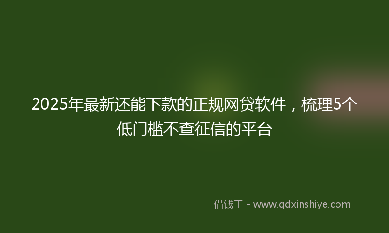 2025年最新还能下款的正规网贷软件，梳理5个低门槛不查征信的平台