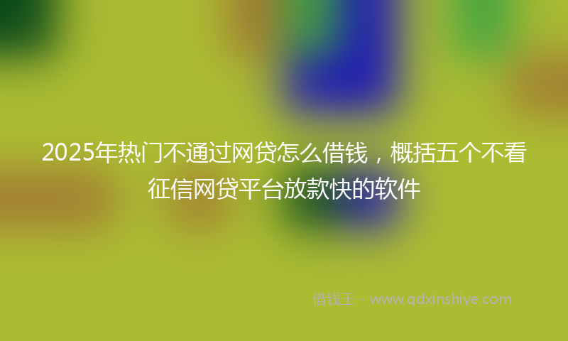 2025年热门不通过网贷怎么借钱，概括五个不看征信网贷平台放款快的软件